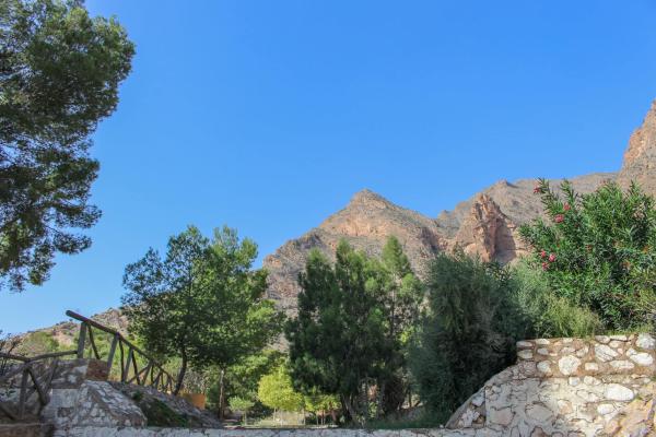 Aqualia y los Ayuntamientos de Callosa de Segura, Albatera, Hondón de los Frailes y San Isidro invitarán a los escolares a reforestar los parajes naturales